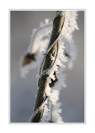 Givre